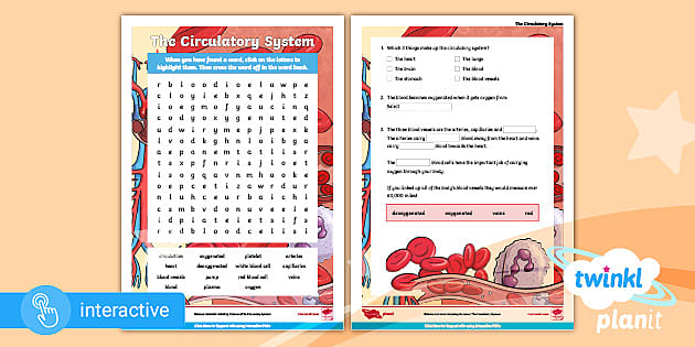 Year 6 Remote Learning: The Circulatory System Word Search Interactive PDF