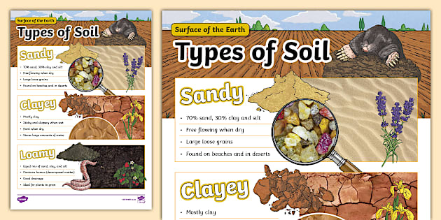 Gr 5 NS: Surface of the Earth: Soil Types: Infographic