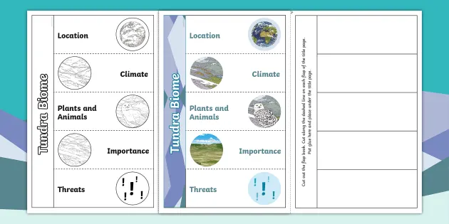 Tundra Biome Flap Book (Teacher-Made) - Twinkl