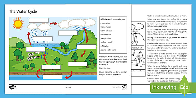 Explain the Water Cycle in your Own Words Worksheet