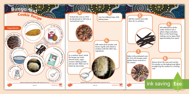 Bunya Nut Cookies Recipe | STEM Food and Chemical Sciences