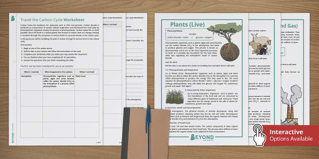 Travel The Carbon Cycle Teacher Made Twinkl