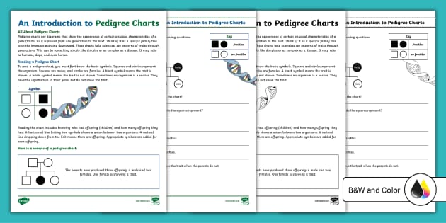 pedigree-charts-worksheet-sixth-grade-science-twinkl-usa