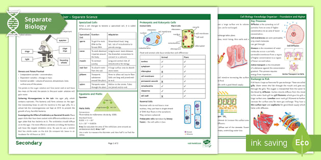 Cell Biology Knowledge Organiser | AQA Biology | Beyond