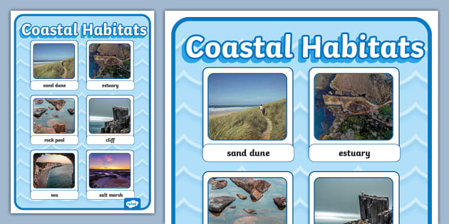 Coastal Habitats Photo Display Poster (teacher made)