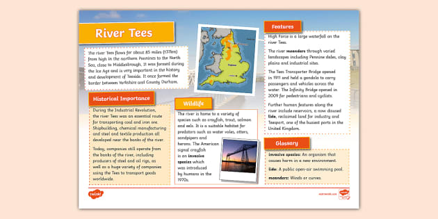 River Tees Fact File - KS2 - Twinkl