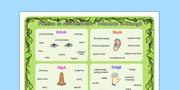 Plansza Ze Słownictwem Doznania W Dżungli Po Polsku