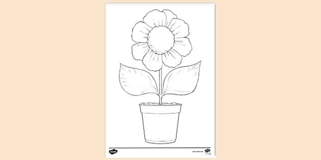Download Flowers, Plant, Drawing. Royalty-Free Stock Illustration Image -  Pixabay