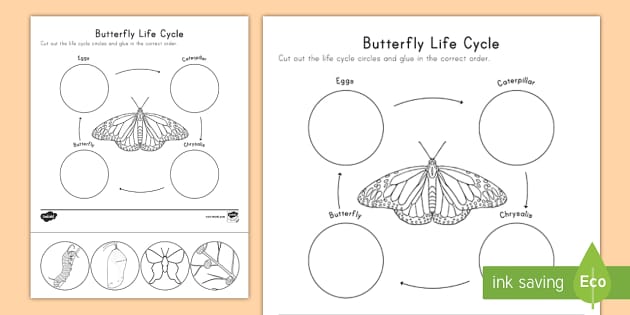 Bees & Butterflieselementary P.e. Games