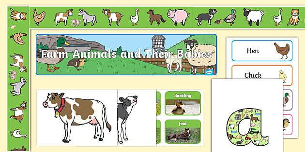 Farm Animals and Their Babies Display Pack (teacher made)