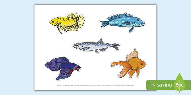 Small Fish Cut Outs (Teacher-Made) - Twinkl