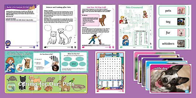 Pets Resource Pack - Primary STEM Resources (teacher made)