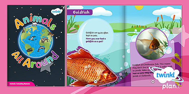 Animals Kids' Book | Animals All Around | Year 1 Science