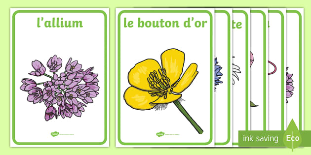 Loto : Les couleurs (Teacher-Made) - Twinkl