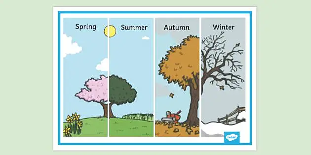 seasons of the year in order