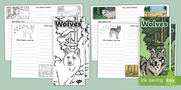 Wolves Leaflet Template (teacher made) - Twinkl