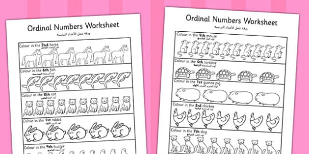 ordinal numbers worksheet arabic translation teacher made
