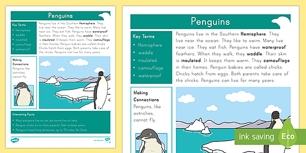 Penguins, facts and photos