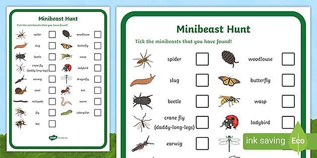 Eyfs Minibeast Hunt Checklist Teaching Resources