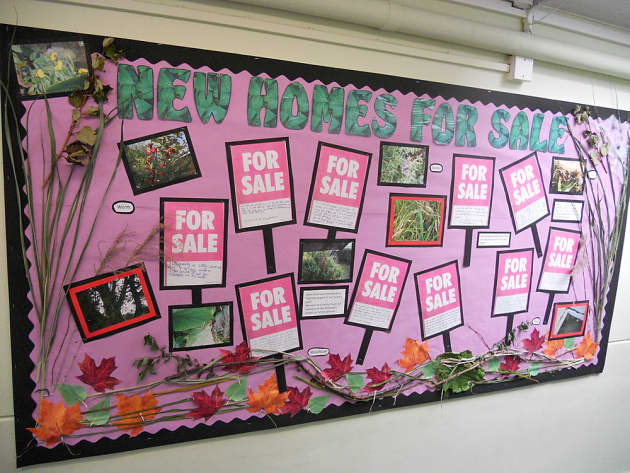 Science And Investigation Homes Worm Display Classroom