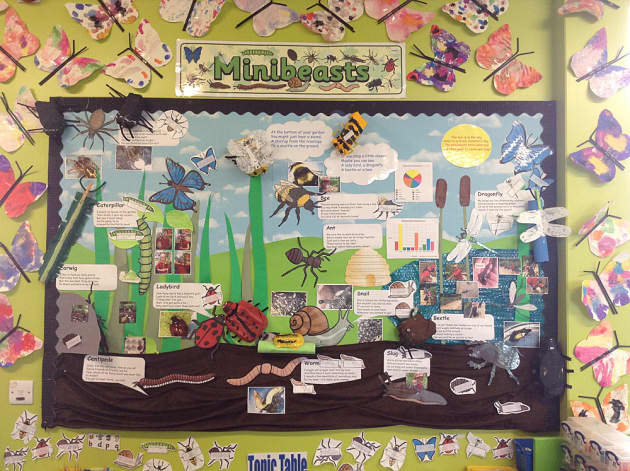 Minibeasts Ladybird Worm Slug Bee Display Classroom Display