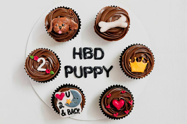 https://images.twinkl.co.uk/tw1n/image/private/t_630_eco/website/uploaded/11-dog-birthday-party-ideas-photos8-1657813288.png