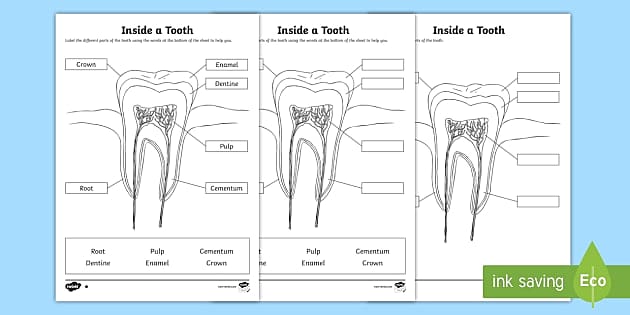 Brush up on our dental health with these resources! - Twinkl