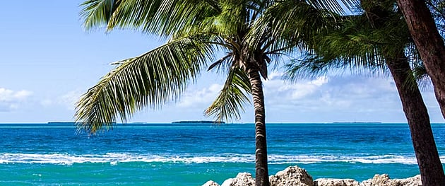 Top 10 Caribbean American Heritage Month Activities - Twinkl