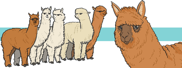 Alpaca Facts for Kids