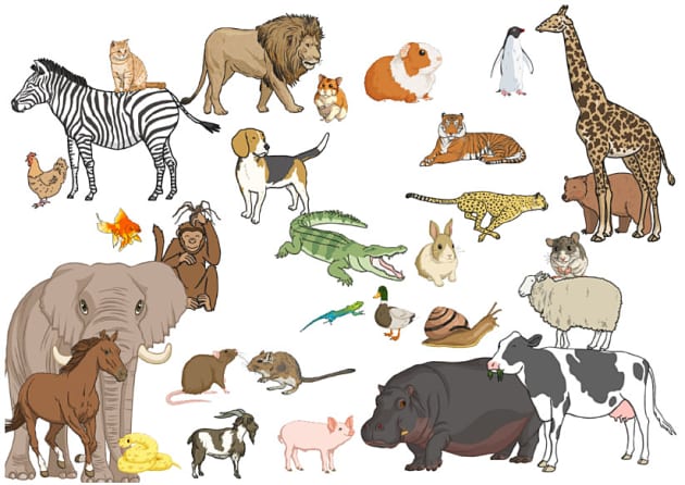 The most of the animals. Animals 