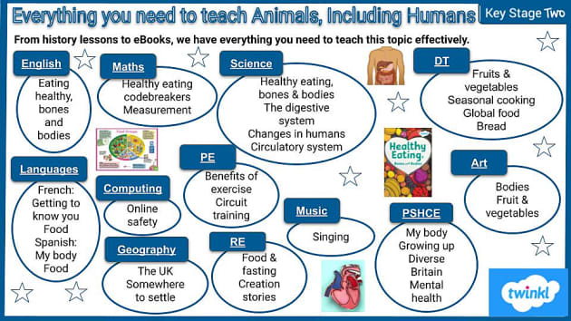 Everything you need to teach Animals, Including Humans