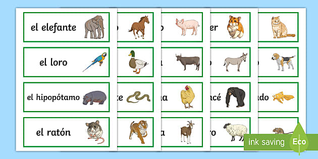 How Do We Say The Spanish Words For Pets 