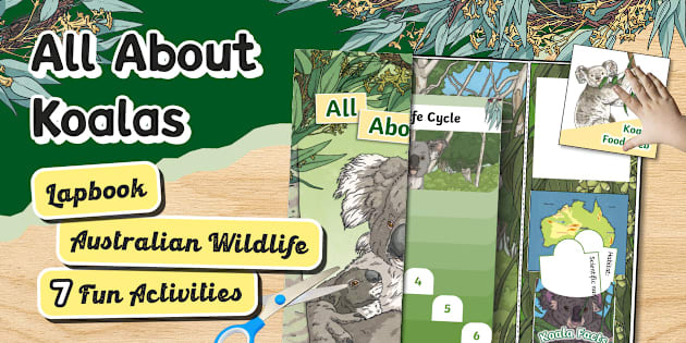 World Koala Day Classroom Activities - Engaging Lessons & Resources