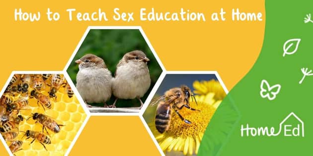 How To Teach Sex Education At Home Twinkl 5805