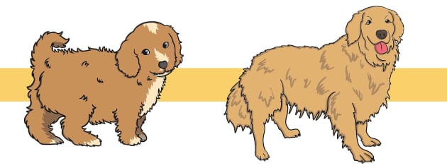 Keep Kids Busy This Summer With Our Dog-themed Activity Book