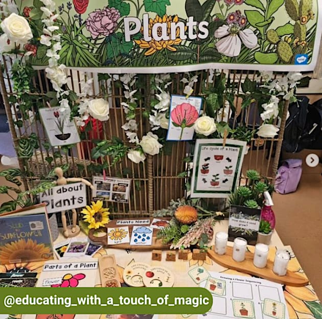 EDUCATING WITH A TOUCH OF MAGIC