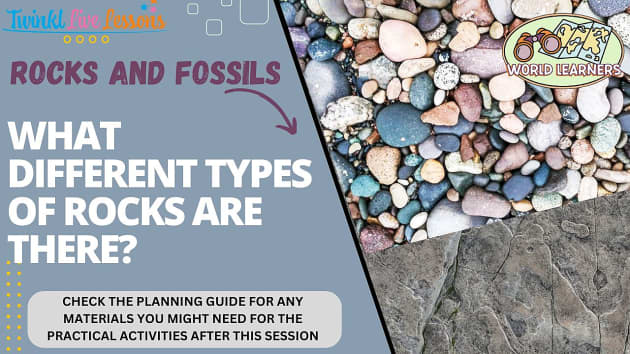 World Learners: Rocks and Fossils - Twinkl