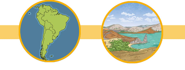 Hammerhead Shark Facts for Kids - Twinkl Homework Help