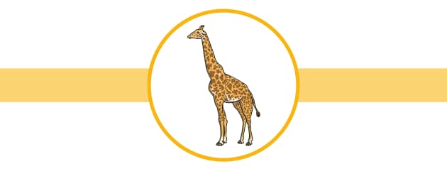 Homework Giraffe