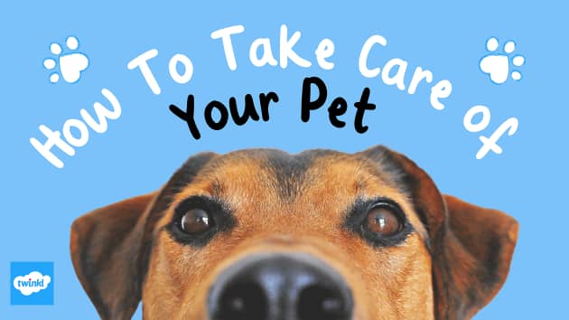 https://images.twinkl.co.uk/tw1n/image/private/t_630_eco/website/uploaded/how-to-take-care-of-your-pet-blog-header-1650548720.png