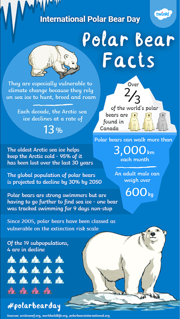 assignment 6 save the polar bear