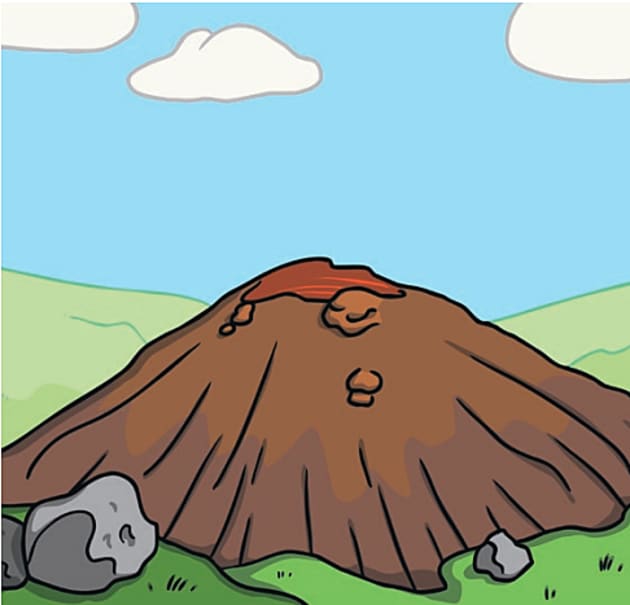 5 Science Experiments with Dish Soap Twinkl