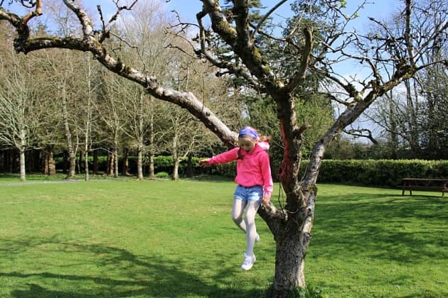 Exploration and the Outdoor Classroom in Eary Childhood Ireland