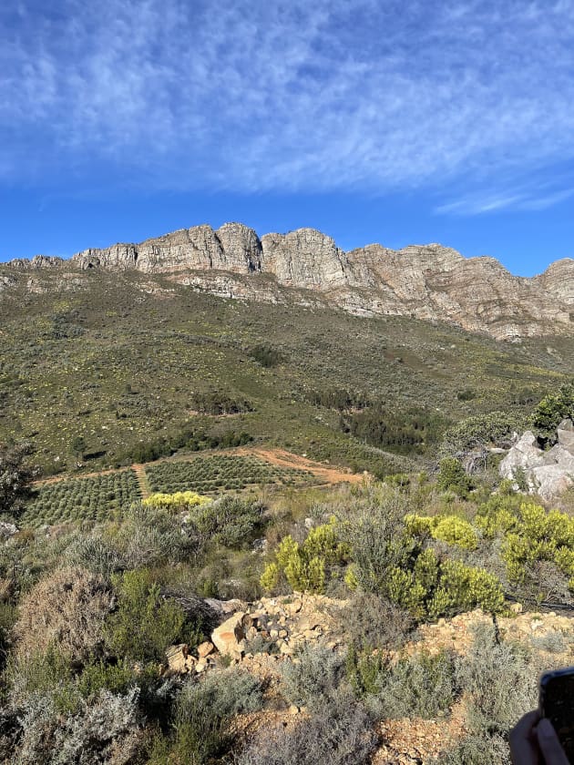 Hidden Gems in South Africa to Visit This World Tourism Day