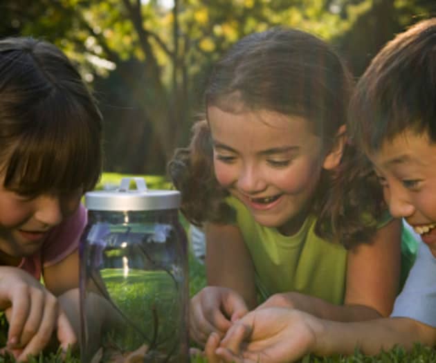 KS1 Outdoor Learning Project Ideas for Summer Term - Twinkl