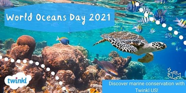 Exploring conservation on World Oceans Day - Twinkl