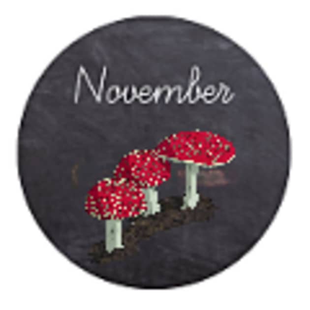 Exploring Nature with Children: Suggested Resources Month by Month