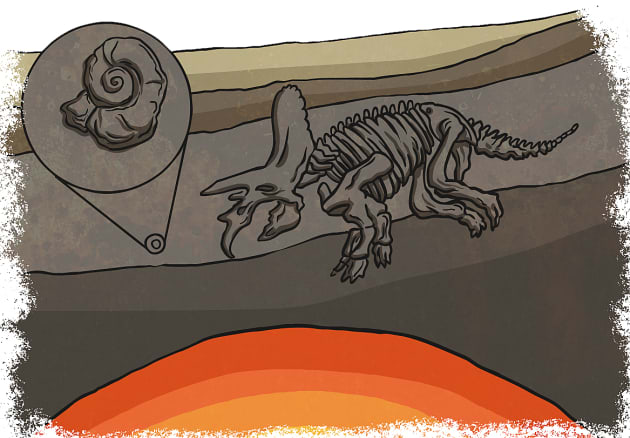 How Are Fossils Formed? - Twinkl Homework Help - Twinkl