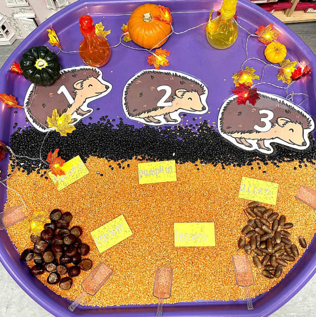 Hedgehog Activities and Ideas for Early Years - Twinkl