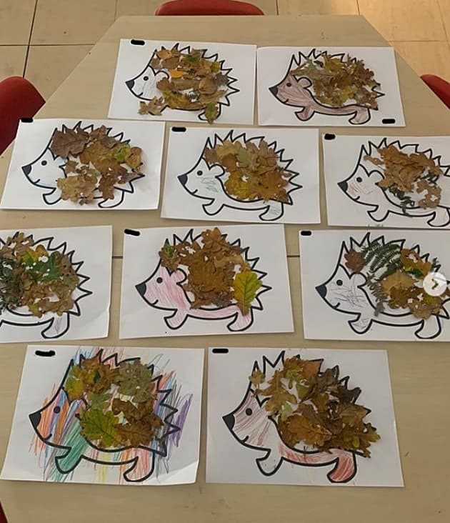 Hedgehog Activities and Ideas for Early Years - Twinkl